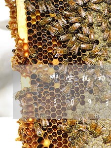 哪些机动车违法停车可以处理/2023020938710 哪些机动车违法停车可以处理/2023020938710
