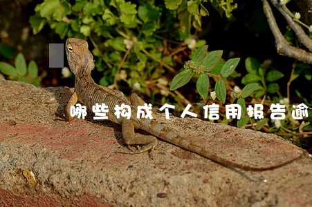 哪些构成个人信用报告逾期