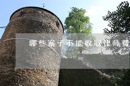 哪些案子不能收取律师费 哪些案子不能收取律师费