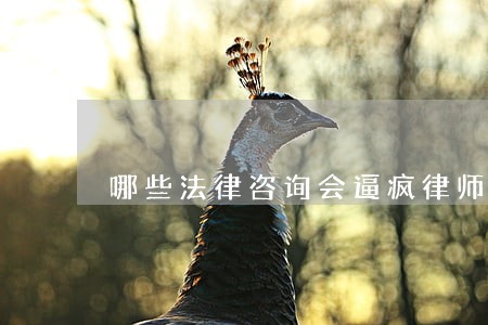 哪些法律咨询会逼疯律师 哪些法律咨询会逼疯律师