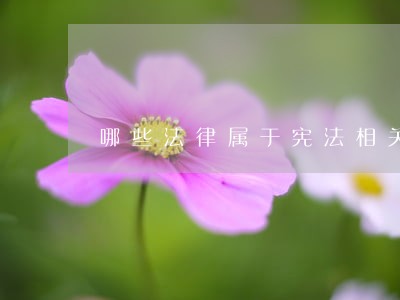 哪些法律属于宪法相关法