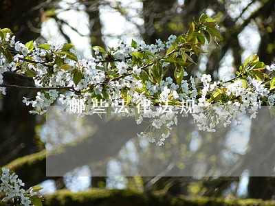 哪些法律法规 哪些法律法规
