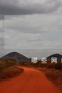 哪些网站可以查询中国专利
