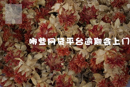 哪些网贷平台逾期会上门 哪些网贷平台逾期会上门