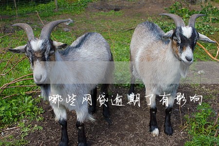 哪些网贷逾期了有影响 哪些网贷逾期了有影响