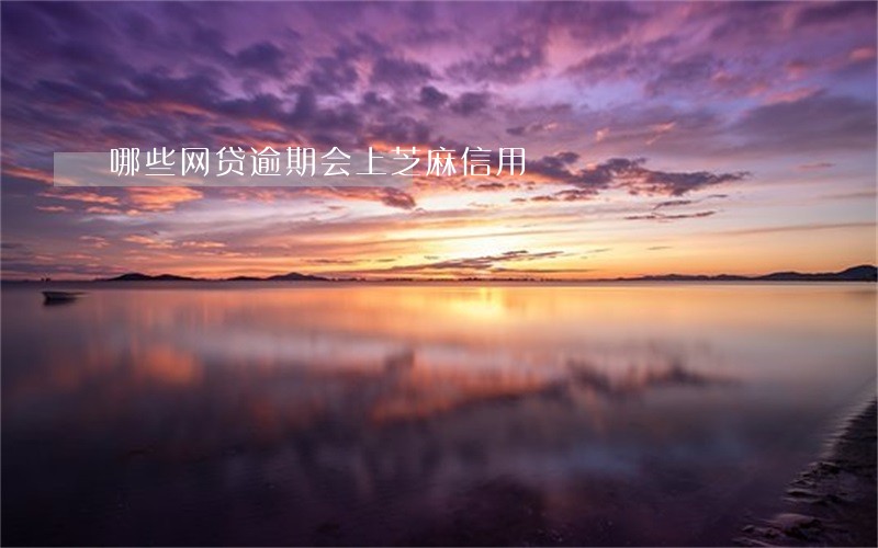 哪些网贷逾期会上芝麻信用