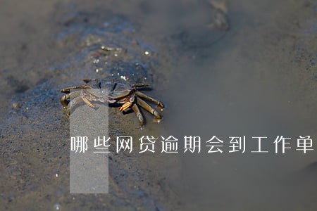 哪些网贷逾期会到工作单位 哪些网贷逾期会到工作单位
