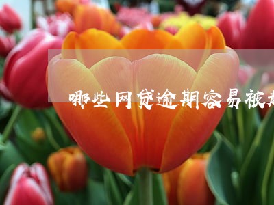 哪些网贷逾期容易被起诉 哪些网贷逾期容易被起诉