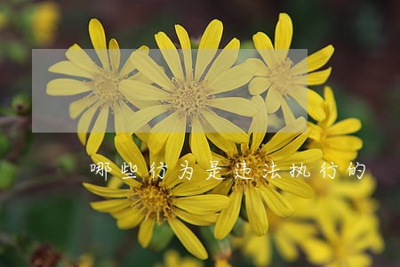 哪些行为是违法执行的 哪些行为是违法执行的