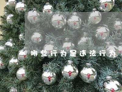哪些行为是违法行为