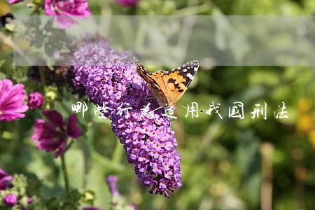 哪些行为适用我国刑法 哪些行为适用我国刑法