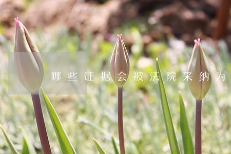 哪些证据会被法院采纳为出轨证据 哪些证据会被法院采纳为出轨证据
