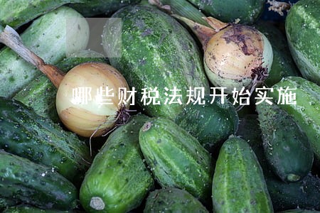 哪些财税法规开始实施 哪些财税法规开始实施