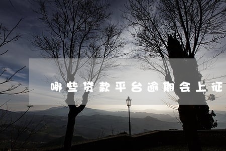 哪些贷款平台逾期会上征信 哪些贷款平台逾期会上征信