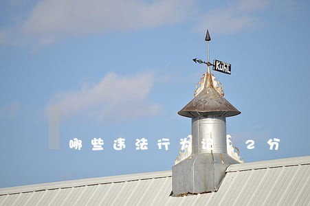 哪些违法行为记12分