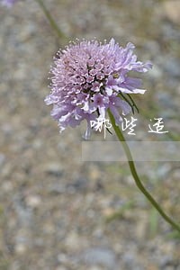 哪些适用劳动合同法 哪些适用劳动合同法