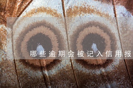 哪些逾期会被记入信用报告 哪些逾期会被记入信用报告