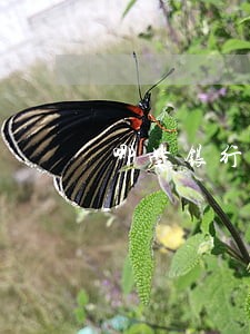 哪些银行信用卡几分钟逾期三天 哪些银行信用卡几分钟逾期三天
