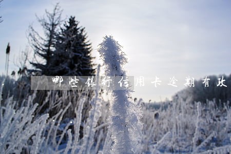 哪些银行信用卡逾期有政策