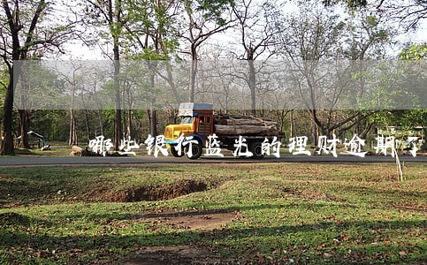 哪些银行蓝光的理财逾期了 哪些银行蓝光的理财逾期了