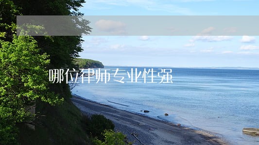 哪位律师专业性强