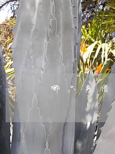 哪六类借款只还本金 哪六类借款只还本金