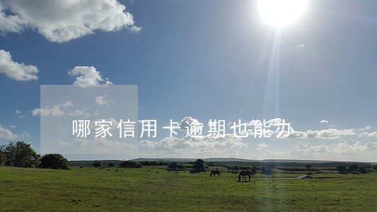 哪家信用卡逾期也能办 哪家信用卡逾期也能办