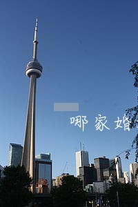 哪家婚姻家庭继承法律师法律咨询 哪家婚姻家庭继承法律师法律咨询