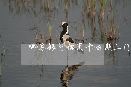 哪家银行信用卡逾期上门家访 哪家银行信用卡逾期上门家访