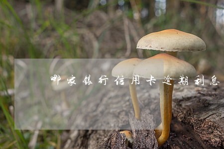 哪家银行信用卡逾期利息最高 哪家银行信用卡逾期利息最高