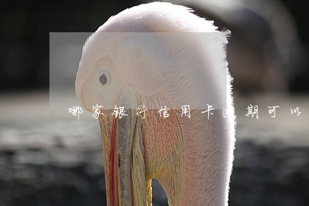 哪家银行信用卡逾期可以房贷 哪家银行信用卡逾期可以房贷