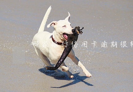 哪家银行信用卡逾期很轻 哪家银行信用卡逾期很轻