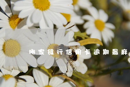 哪家银行信用卡逾期最麻烦 哪家银行信用卡逾期最麻烦