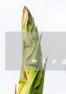 哪年开始有劳动合同法 哪年开始有劳动合同法