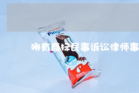 哪有商标民事诉讼律师事务所 哪有商标民事诉讼律师事务所