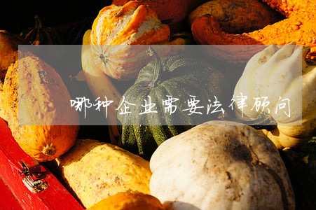 哪种企业需要法律顾问 哪种企业需要法律顾问