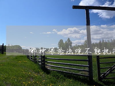 哪种保险法院不能执行