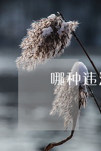 哪种违法行为一次扣12分 哪种违法行为一次扣12分