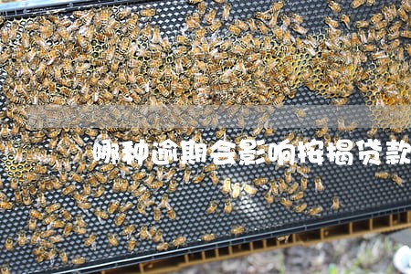 哪种逾期会影响按揭贷款买房 哪种逾期会影响按揭贷款买房