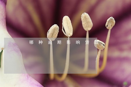 哪种逾期影响贷款 哪种逾期影响贷款