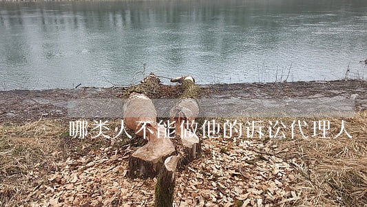 哪类人不能做他的诉讼代理人 哪类人不能做他的诉讼代理人