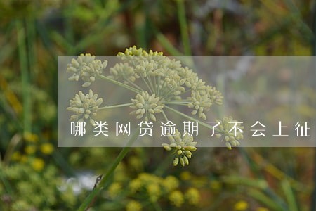 哪类网贷逾期了不会上征信 哪类网贷逾期了不会上征信