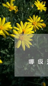 哪级法院有知识产权法庭 哪级法院有知识产权法庭