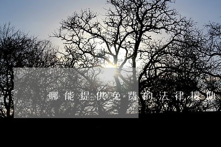 哪能提供免费的法律援助 哪能提供免费的法律援助