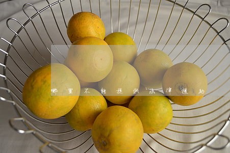 哪里不能提供法律援助