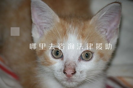 哪里去咨询法律援助 哪里去咨询法律援助