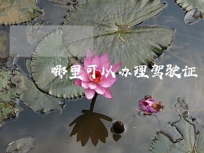 哪里可以办理驾驶证 哪里可以办理驾驶证