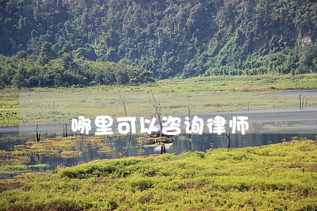 哪里可以咨询律师 哪里可以咨询律师