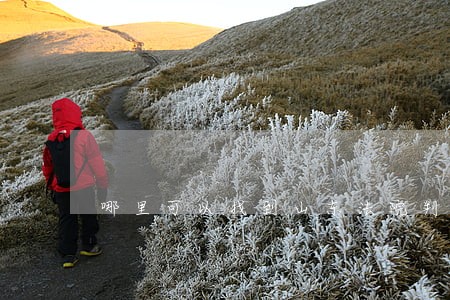 哪里可以找到山东法院判决书 哪里可以找到山东法院判决书