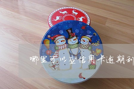 哪里可以查信用卡逾期利息